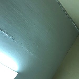 Meet your Posher, Albert